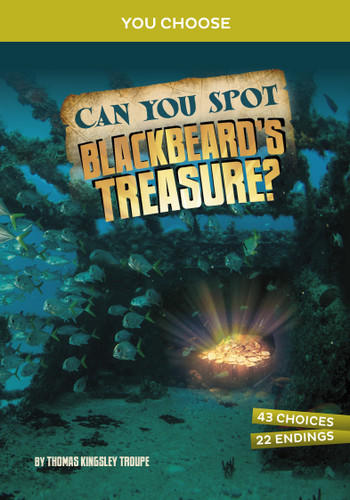 Can You Spot Blackbeard's Treasure?: An Interactive Treasure Adventure (You Choose: Treasure Hunters) book cover by Thomas Kingsley Troupe
