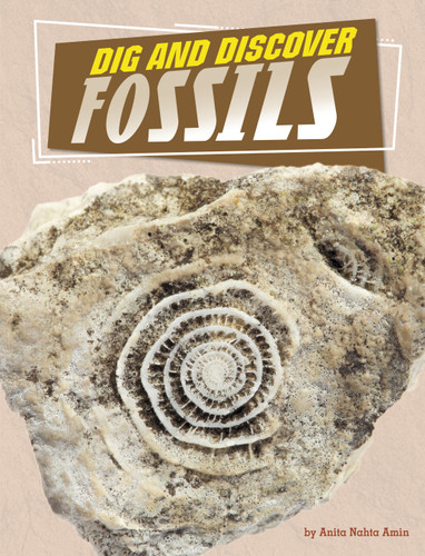 Dig and Discover Fossils (Rock Your World) book cover by Anita Nahta Amin