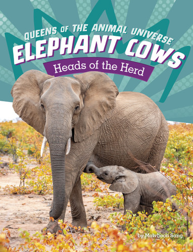Elephant Cows: Heads of the Herd (Queens of the Animal Universe) book cover by Maivboon Sang