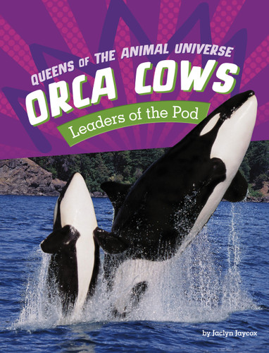 Orca Cows: Leaders of the Pod (Queens of the Animal Universe) book cover by Jaclyn Jaycox