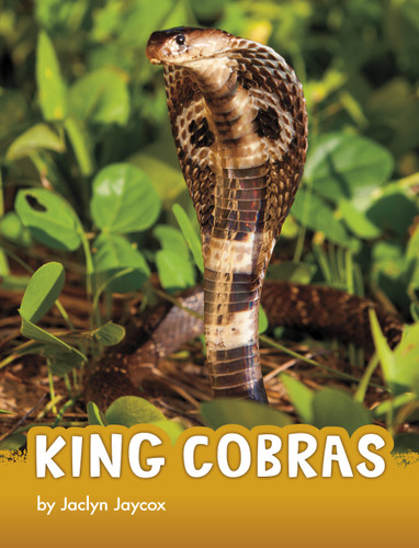 King Cobras (Animals) book cover by Jaclyn Jaycox