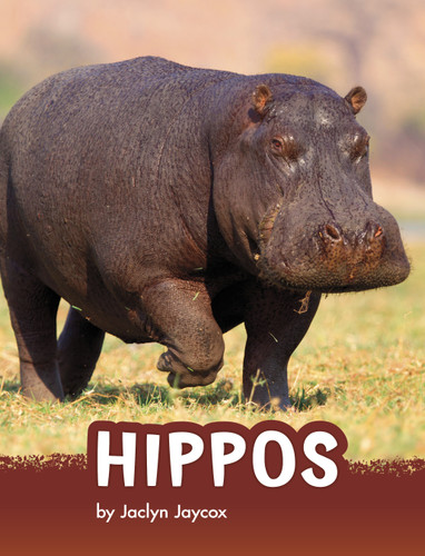 Hippos (Animals) book cover by Jaclyn Jaycox