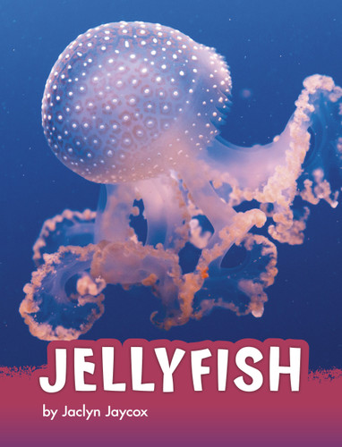 Jellyfish (Animals) book cover by Jaclyn Jaycox