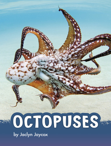 Octopuses (Animals) book cover by Jaclyn Jaycox