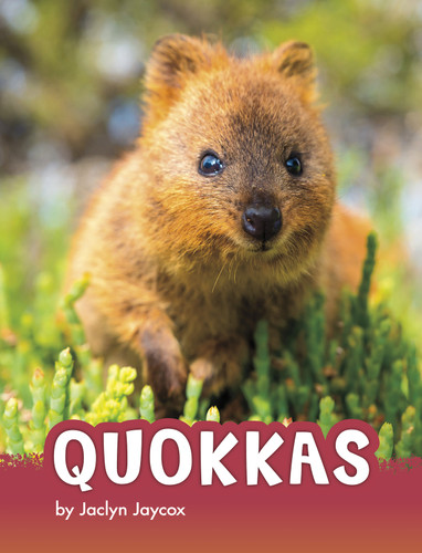 Quokkas (Animals) book cover by Jaclyn Jaycox