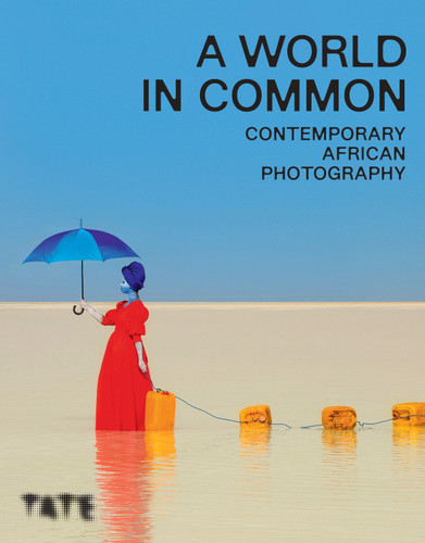 A World in Common: Contemporary African Photography book cover by 