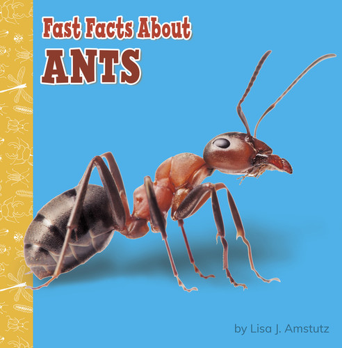 Fast Facts About Ants (Fast Facts About Bugs & Spiders) book cover by Lisa J. Amstutz