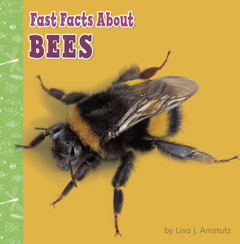 Fast Facts About Bees (Fast Facts About Bugs & Spiders) book cover by Lisa J. Amstutz