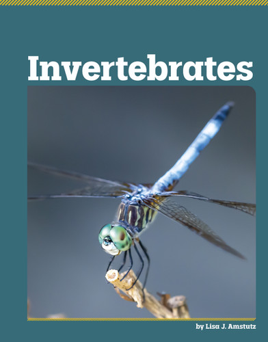Invertebrates (All About Animal Classification) book cover by Lisa J. Amstutz