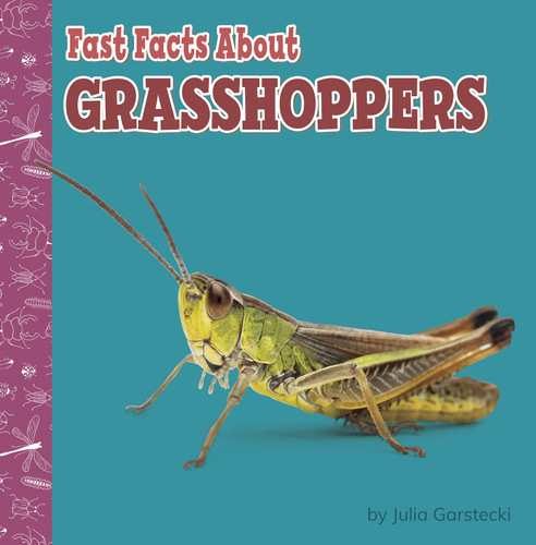 Fast Facts About Grasshoppers (Fast Facts About Bugs & Spiders) book cover by Julia Garstecki-Derkovitz