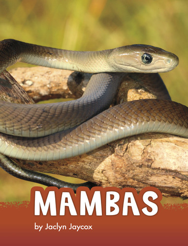 Mambas (Animals) book cover by Jaclyn Jaycox