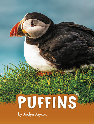 Puffins (Animals) book cover by Jaclyn Jaycox