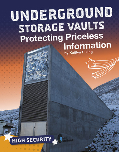 Underground Storage Vaults: Protecting Priceless Information (High Security) book cover by Kaitlyn Duling