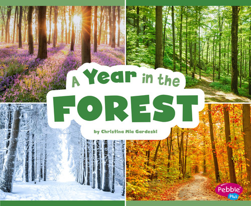 A Year in the Forest (Season to Season) book cover by Christina Mia Gardeski