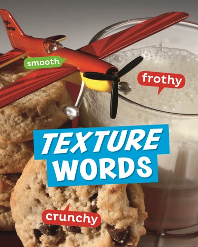 Texture Words (Word Play) book cover by Carrie B. Sheely
