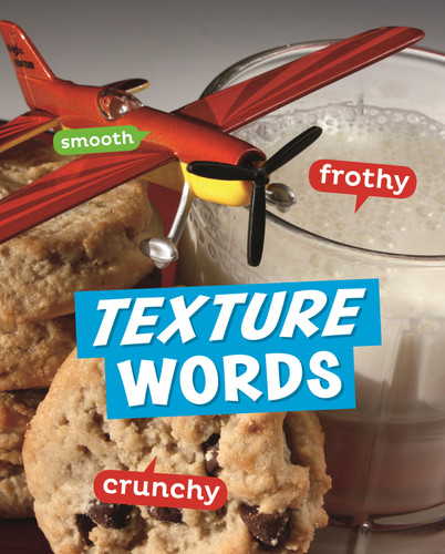 Texture Words (Word Play) book cover by Carrie B. Sheely