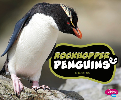 Rockhopper Penguins (Penguins!) book cover by Jody S. Rake