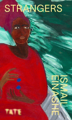 Strangers (Look Again) book cover by Ismail Einashe