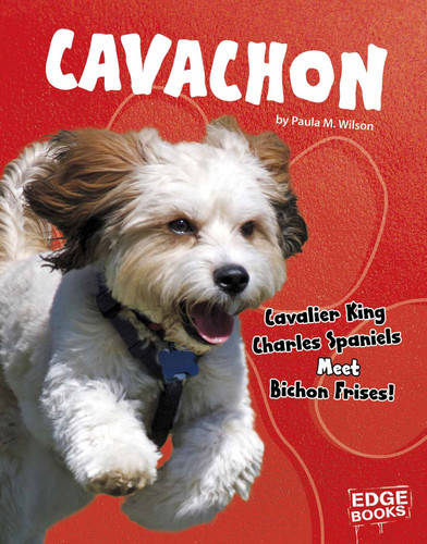 Cavachon: Cavalier King Charles Spaniels Meet Bichon Frises! (Top Hybrid Dogs) book cover by Paula M. Wilson