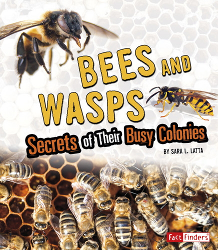 Bees and Wasps: Secrets of Their Busy Colonies (Amazing Animal Colonies) book cover by Sara L. Latta
