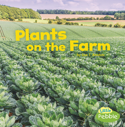 Plants on the Farm (Farm Facts) book cover by Lisa J. Amstutz