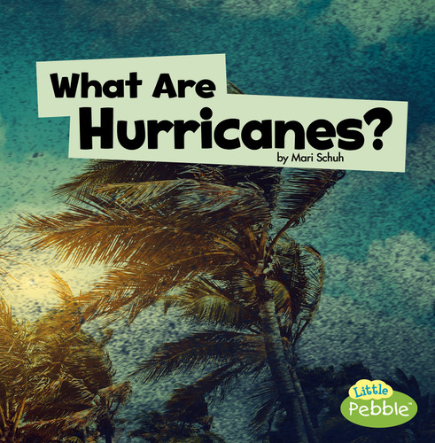 What Are Hurricanes? (Wicked Weather) book cover by Mari Schuh