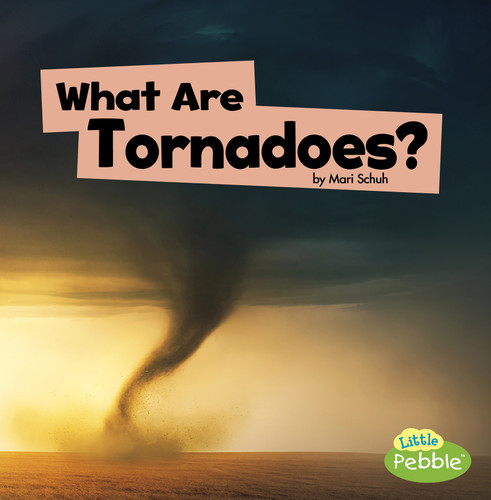 What Are Tornadoes? (Wicked Weather) book cover by Mari Schuh