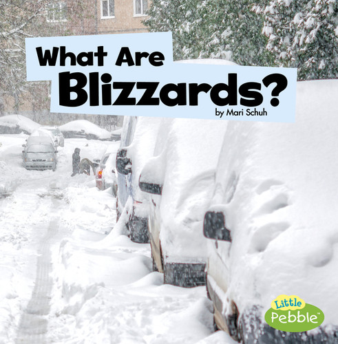 What Are Blizzards? (Wicked Weather) book cover by Mari Schuh