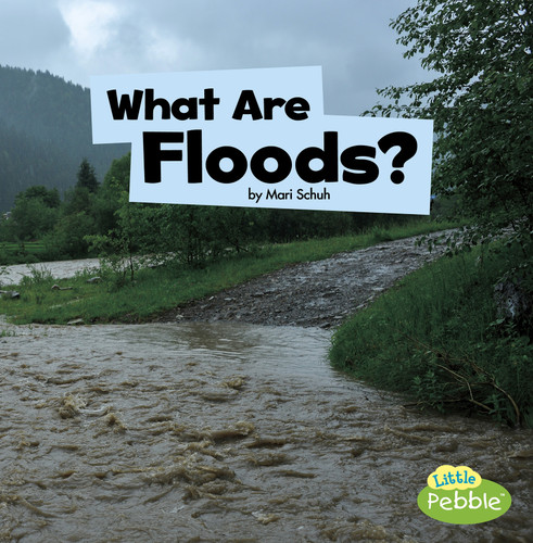 What Are Floods? (Wicked Weather) book cover by Mari Schuh