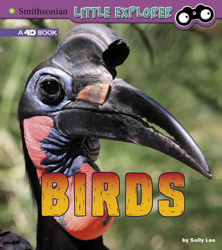 Birds: A 4D Book (Little Zoologist) book cover by Sally Lee