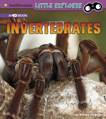 Invertebrates: A 4D Book (Little Zoologist) book cover by Melissa Ferguson