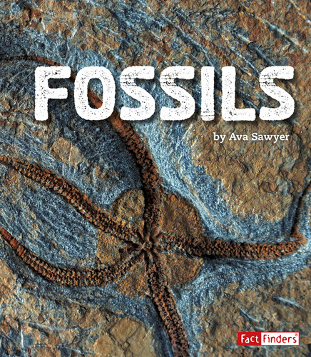 Fossils (Rocks) book cover by Ava Sawyer