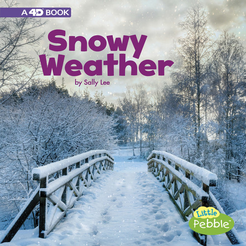 Snowy Weather: A 4D Book (All Kinds of Weather) book cover by Sally Lee