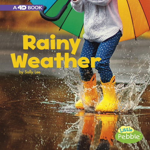 Rainy Weather: A 4D Book (All Kinds of Weather) book cover by Sally Lee