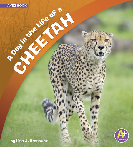 A Day in the Life of a Cheetah: A 4D Book (A Day in the Life) book cover by Lisa J. Amstutz