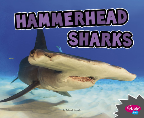 Hammerhead Sharks (All About Sharks) book cover by Deborah Nuzzolo