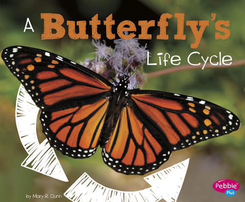A Butterfly's Life Cycle (Explore Life Cycles) book cover by Mary R. Dunn