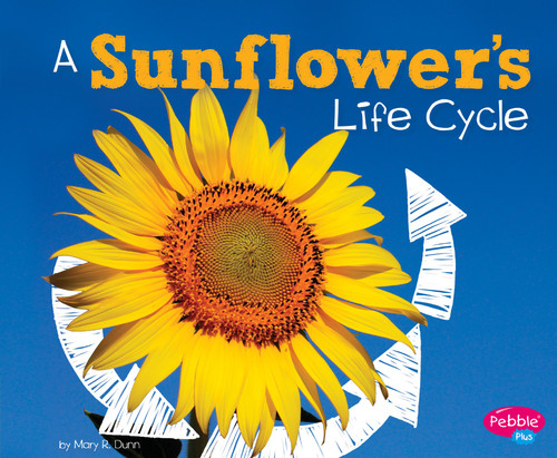 A Sunflower's Life Cycle (Explore Life Cycles) book cover by Mary R. Dunn
