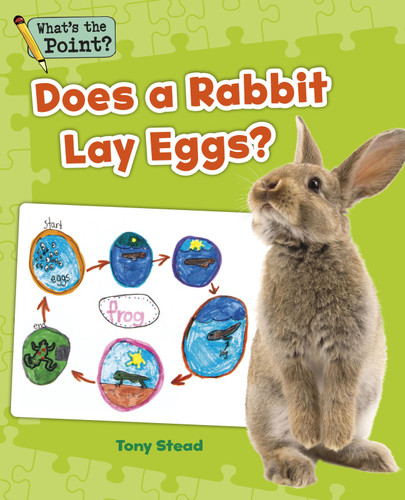 Does a Rabbit Lay Eggs? (What's the Point? Reading and Writing Expository Text) book cover by Capstone Classroom, Tony Stead