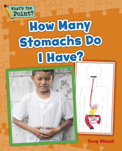 How Many Stomachs Do I Have? (What's the Point? Reading and Writing Expository Text) book cover by Capstone Classroom, Tony Stead