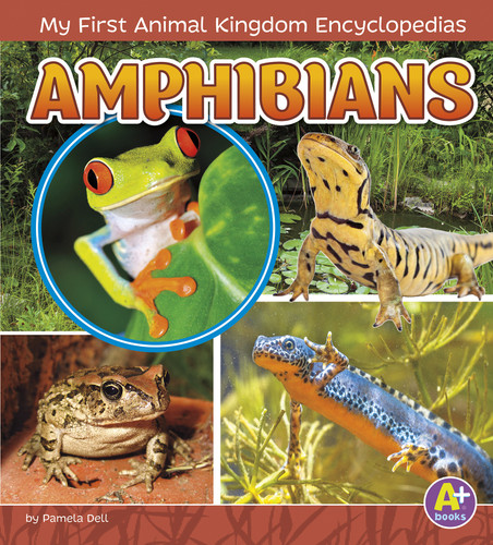 Amphibians (My First Animal Kingdom Encyclopedias) book cover by Emma Bernay, Emma Carlson Berne