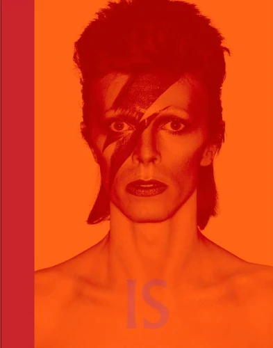 David Bowie Is... book cover by 