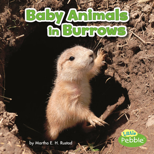 Baby Animals in Burrows (Baby Animals and Their Homes) book cover by Martha E. H. Rustad