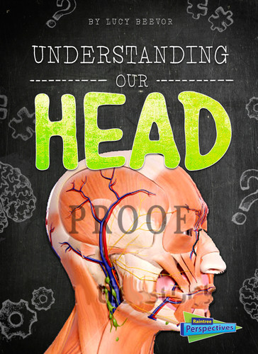 Understanding Our Head (Brains, Body, Bones!) book cover by Lucy Beevor
