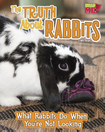 The Truth about Rabbits: What Rabbits Do When You're Not Looking (Pets Undercover!) book cover by Mary Colson