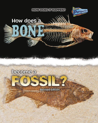 How Does a Bone Become a Fossil? (How Does It Happen) book cover by Melissa Stewart