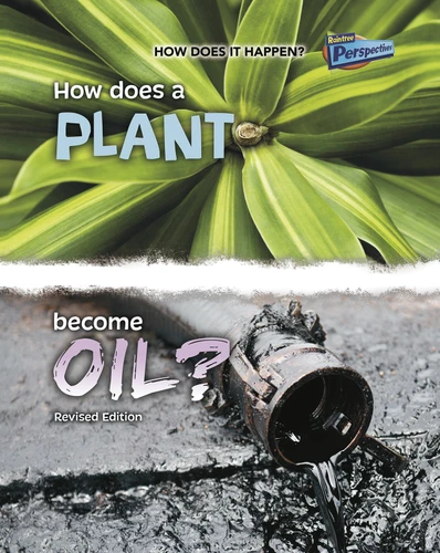 How Does a Plant Become Oil? (How Does It Happen) book cover by Linda Tagliaferro