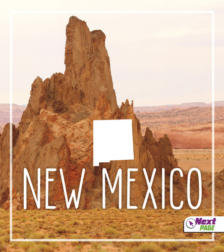 New Mexico (States) book cover by Bridget Parker, Tyler Maine