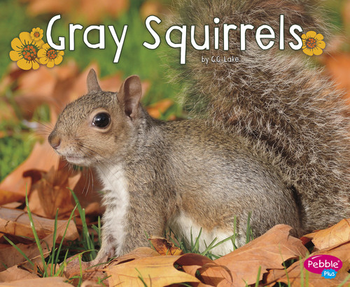 Gray Squirrels (Woodland Wildlife) book cover by G.G. Lake