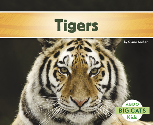 Tigers (Big Cats) book cover by Claire Archer